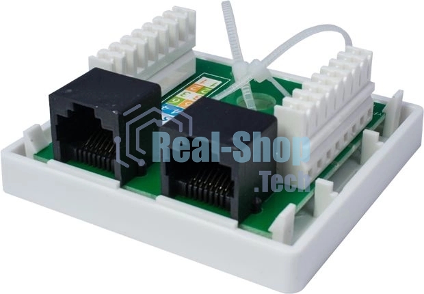 Розетка компьютерная 2-м 8P8C (RJ-45) UTP кат.5E SUPRLAN 10-0309