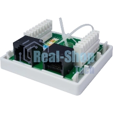 Розетка компьютерная 2-м 8P8C (RJ-45) UTP кат.5E SUPRLAN 10-0309