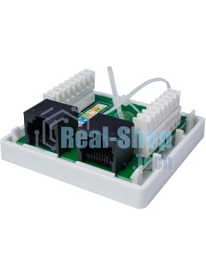 Розетка компьютерная 2-м 8P8C (RJ-45) UTP кат.5E SUPRLAN 10-0309