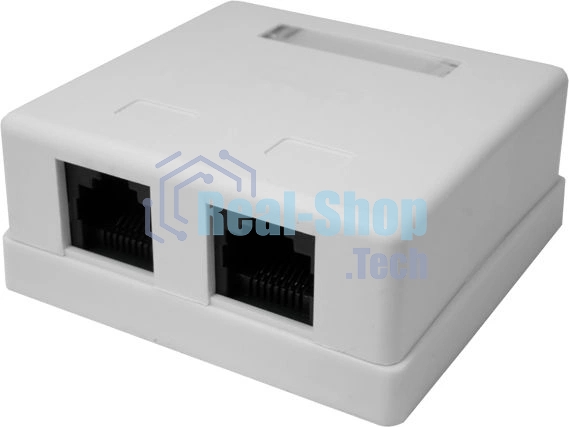 Розетка компьютерная 2-м 8P8C (RJ-45) UTP кат.5E SUPRLAN 10-0309