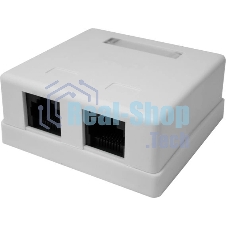 Розетка компьютерная 2-м 8P8C (RJ-45) UTP кат.5E SUPRLAN 10-0309