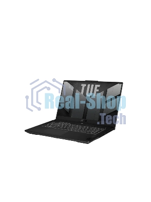 Ноутбук ASUS TUF F17 FX707VUR-HX225 серый 90NR0CS5-M00E30 17.3