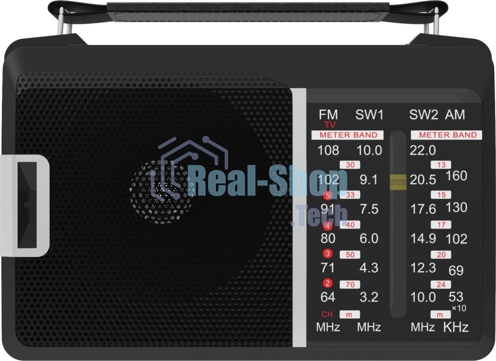 Радиоприемник Ritmix RPR-190
