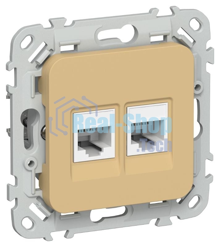 FLITE Розетка 2-ая компьютерная RJ45 кат.5Е UTP РК5е-2-0-ФлШм шамуа | FI-K22-1-K89 | IEK