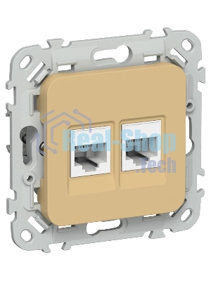 FLITE Розетка 2-ая компьютерная RJ45 кат.5Е UTP РК5е-2-0-ФлШм шамуа | FI-K22-1-K89 | IEK