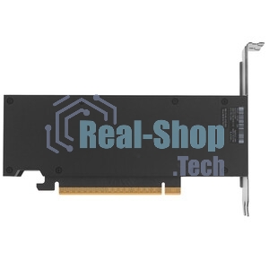 Видеокарта NVIDIA RTX PRO 2000 Blackwell 16 GB GDDR7