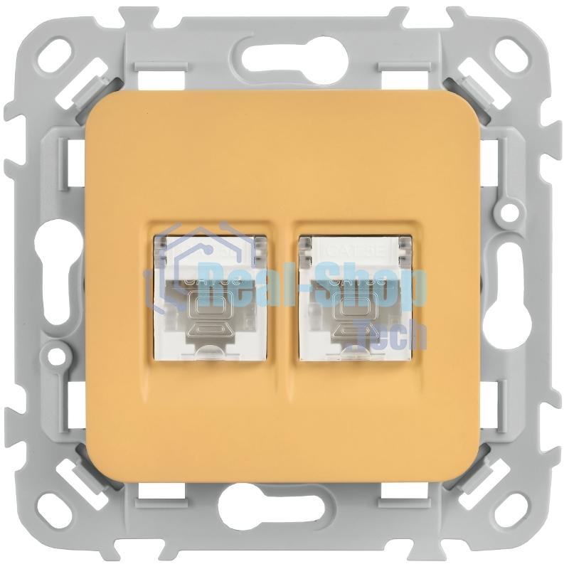 FLITE Розетка 2-ая компьютерная RJ45 кат.5Е UTP РК5е-2-0-ФлШм шамуа | FI-K22-1-K89 | IEK