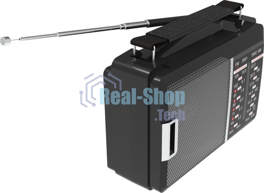 Радиоприемник Ritmix RPR-190