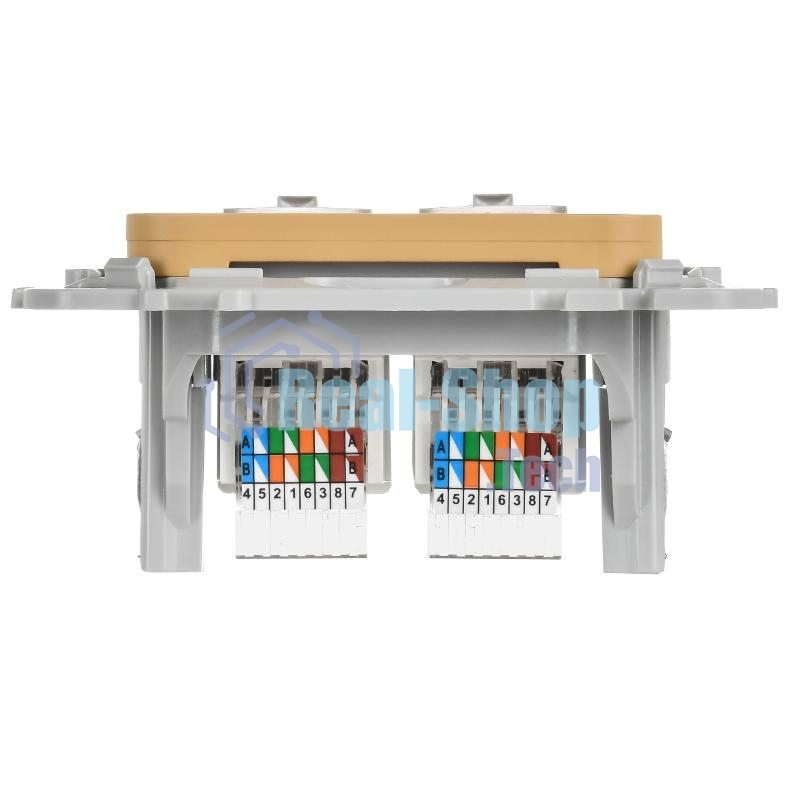 FLITE Розетка 2-ая компьютерная RJ45 кат.5Е UTP РК5е-2-0-ФлШм шамуа | FI-K22-1-K89 | IEK