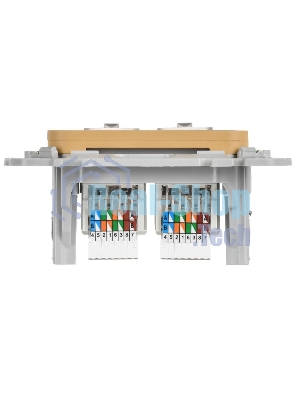 FLITE Розетка 2-ая компьютерная RJ45 кат.5Е UTP РК5е-2-0-ФлШм шамуа | FI-K22-1-K89 | IEK