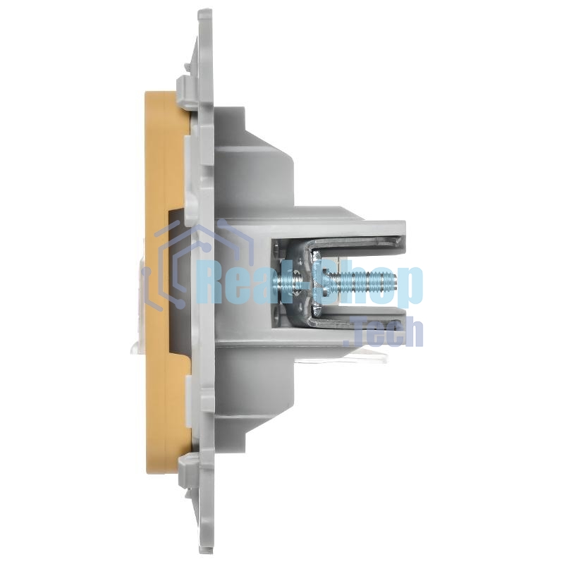 FLITE Розетка 2-ая компьютерная RJ45 кат.5Е UTP РК5е-2-0-ФлШм шамуа | FI-K22-1-K89 | IEK