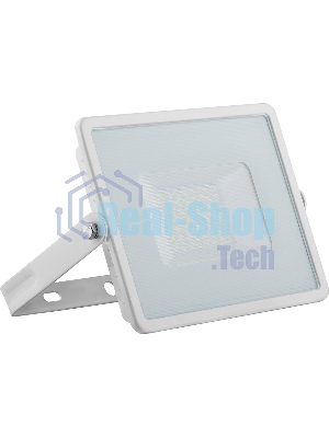 Прожектор светодиодный Feron 2835 SMD 50W 6400K IP65, белый с матовым стеклом, LL-921