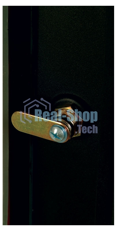 Шкаф настенный ЦМО ШРН-Э-6.350 6U 600x350 мм пер. дв. стекл несъемные бок. пан. серый