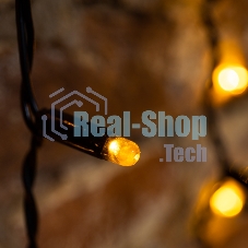 Гирлянда Neon-night 