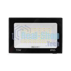 Прожектор светодиодный СДО Rexant 70Вт 5600Лм 6500К холодный свет, черный корпус