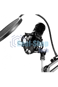 Микрофон проводной Оклик SM-600G 2.5м черный