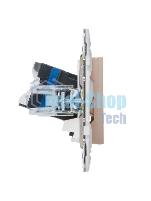 SKANDY Розетка компьютерная двойная RJ45 кат.6 SK-K04Sa песочный | SK-K20-2-K98 | IEK