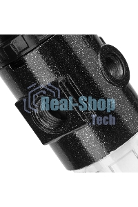 Фильтр-регулятор Denzel FR1500, 10 бар, 1500 л/мин, 1/4