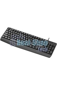 Проводная Клавиатура Philips SPK6237, USB 2.0 104 клав, высокие кн., русская заводская раскладка, черный