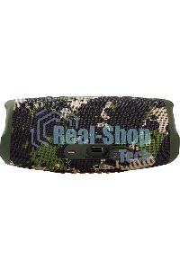 Портативная акустика JBL Charge 5, камуфляж