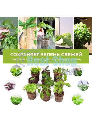 Набор питательных губок Cactus CS-SPONGE-11 для проращивания для CS-LEDPOT-11/SMARTPOT-11 (упак.:11шт) пакет