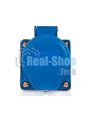 Розетка наруж. уст. 16А 220В 2Р+РЕ IP44 (113) EKF ps-113-16-220