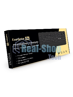 Клавиатура проводная ExeGate Professional Standard LY-E5500M, USB, черный