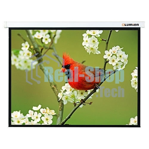 Экран Lumien 171x128см Master Picture LMP-100108 4:3 настенно-потолочный рулонный белый