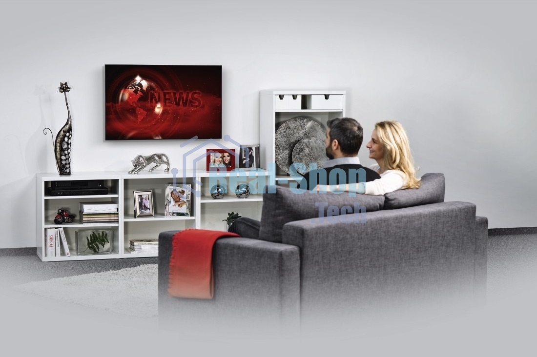 Кронштейн для телевизора Hama 00220805 черный 19