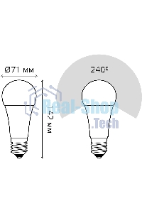 Лампа светодиодная Gauss Elementary A67 30Вт E27 4100К