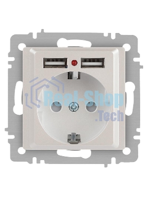 Розетка Intro Accent 6-410-06 , P+E Schuko со шторками, 16А-250В + 2хUSB, IP20, СУ, перламутр | Б0063700 | Intro