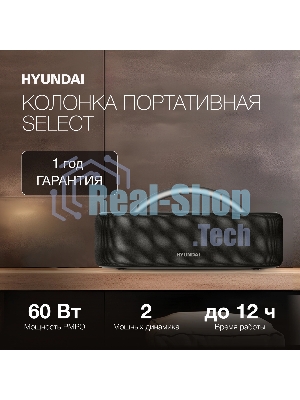 Колонка портативная Hyundai H-PS1028 черный 60W 2.0 BT 10м 4400mAh