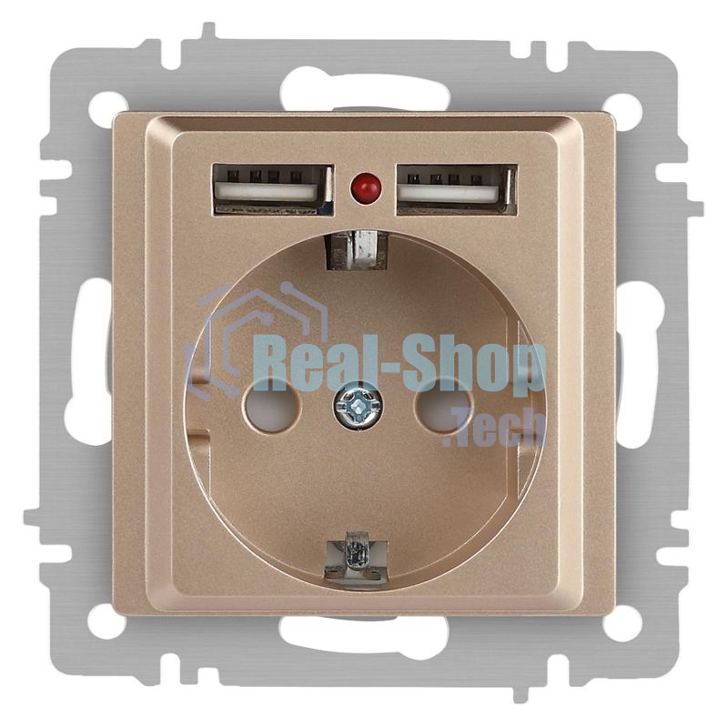 Розетка Intro Accent 6-410-04 , P+E Schuko со шторками, 16А-250В + 2хUSB, IP20, СУ, шампань | Б0063696 | Intro
