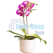 Светильник фито Cactus GARDEN светод. 7.5Вт цв.св.:белый (CS-LED-ORCHID)