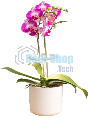 Светильник фито Cactus GARDEN светод. 7.5Вт цв.св.:белый (CS-LED-ORCHID)
