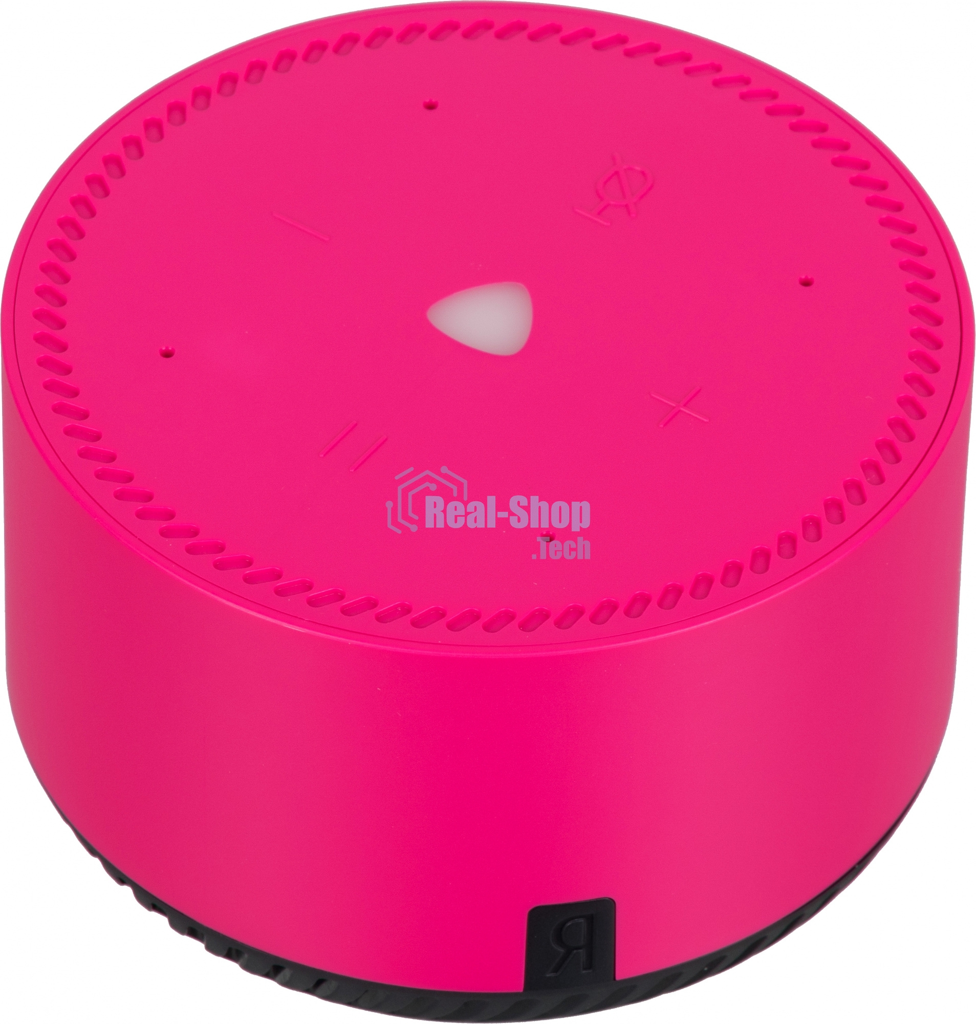 Умная колонка Яндекс Станция Лайт, 5Вт, с голосовым ассистентом Алиса, фламинго/розовый (YNDX-00025N)