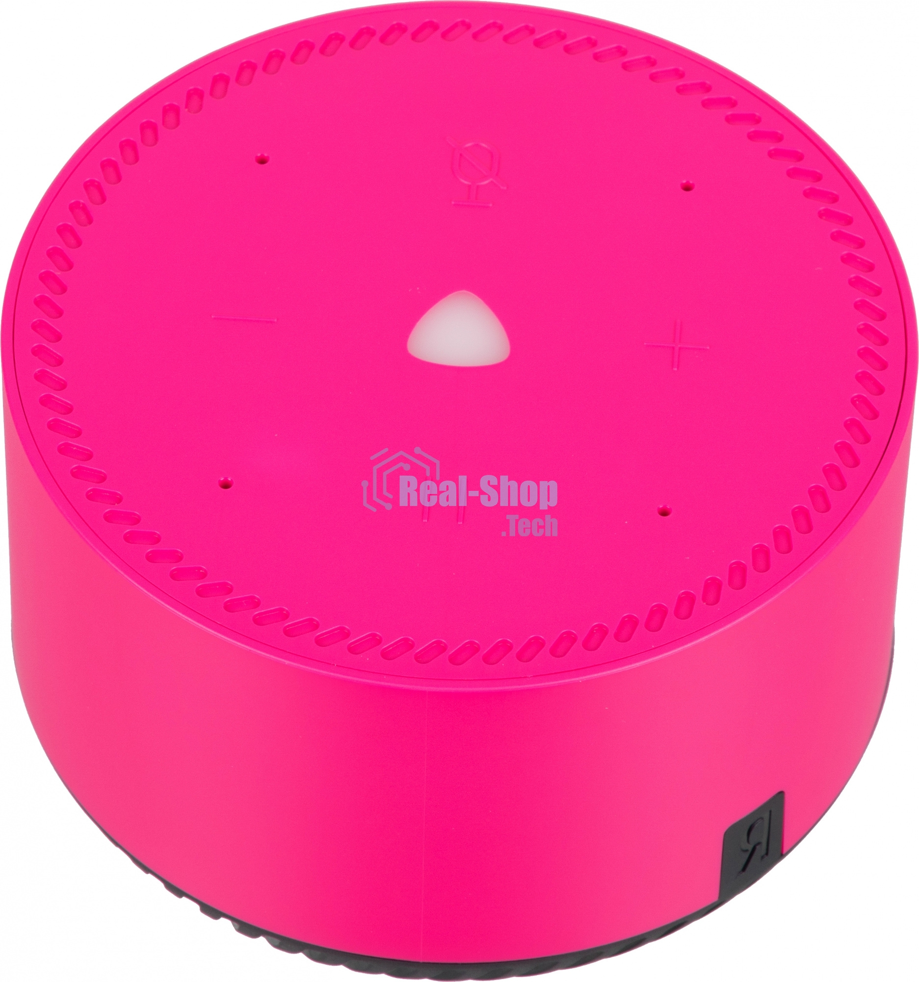Умная колонка Яндекс Станция Лайт, 5Вт, с голосовым ассистентом Алиса, фламинго/розовый (YNDX-00025N)