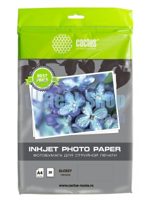 Фотобумага Cactus CS-GA413020ED A4/130г/м2/20л./белый глянцевое для струйной печати