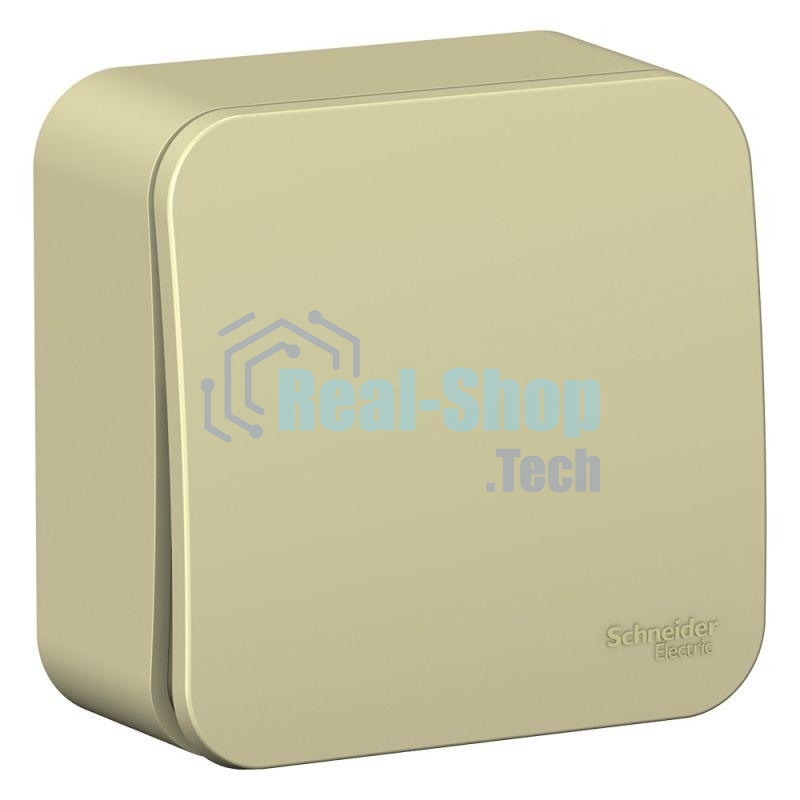 Выключатель 1-кл. ОП Blanca (сх.1) 10А 250 В изол. пласт. беж. SchE