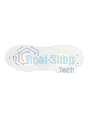 Встраиваемый поворотный точечный светильник Ambrella light TN102505/2 WH белый GU5.3 175*95*28