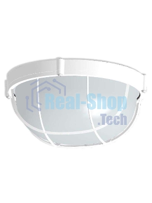 Светильник НПП 03-100-010 