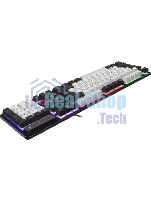 Клавиатура проводная Defender Dark Knight R GK-077, USB, черный/белый