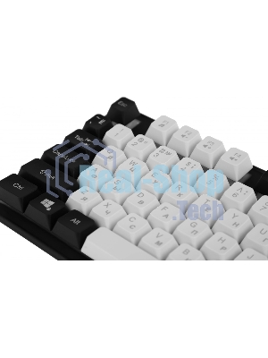 Клавиатура проводная Defender Dark Knight R GK-077, USB, черный/белый