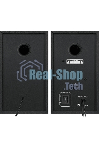 Акустическая система Defender AURORA S20 2x10 Вт RMS,20-20000 Гц, разъем для наушников