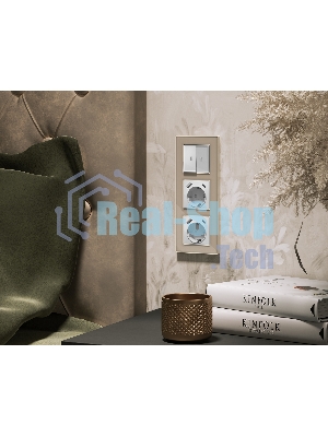 Комплект механизма электрической розетки ALFA Серебро глянец 2USB A+C 20W (быстрая зарядка) с/з QUANT (AP4100, VM160) MA410010