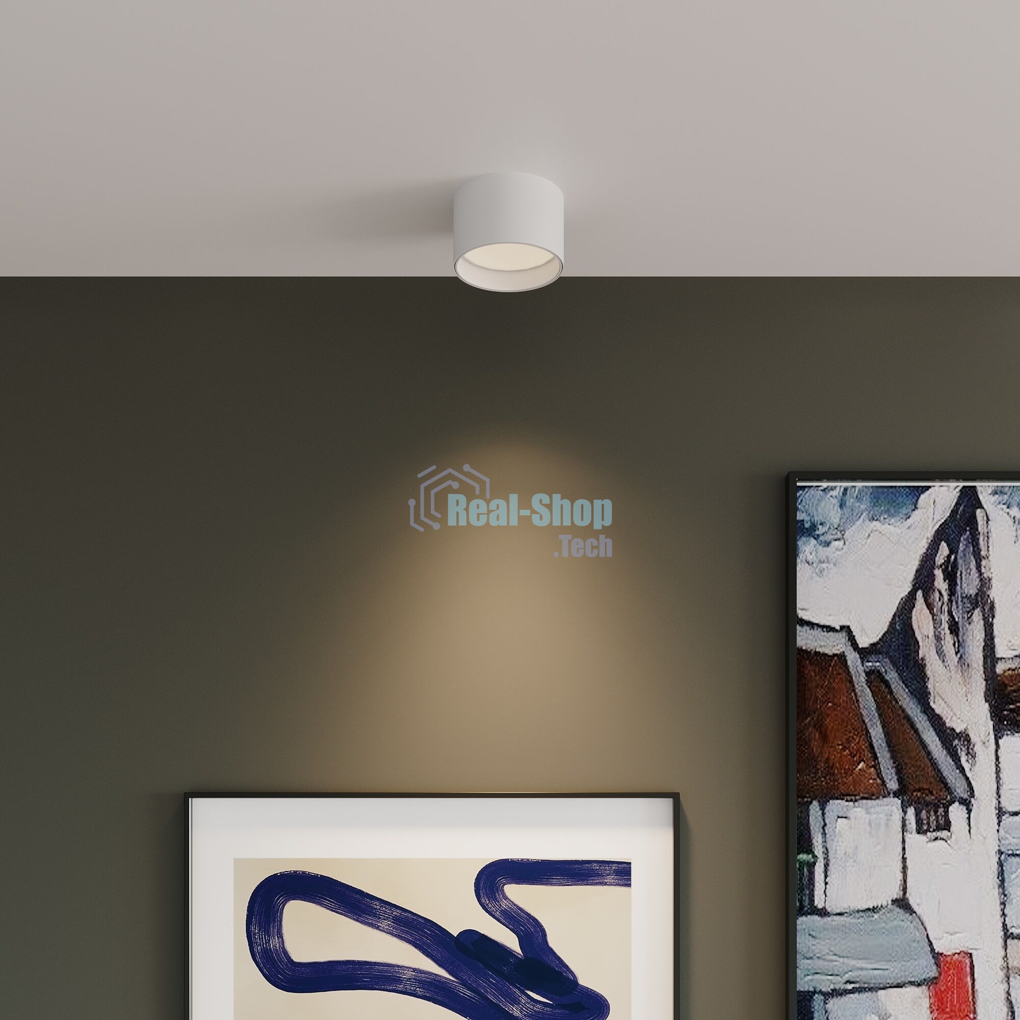 Накладной светильник Banti 13W 4200K белый (25123/LED)