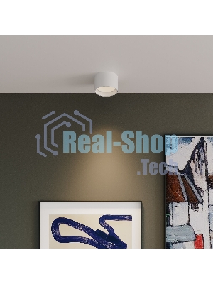 Накладной светильник Banti 13W 4200K белый (25123/LED)