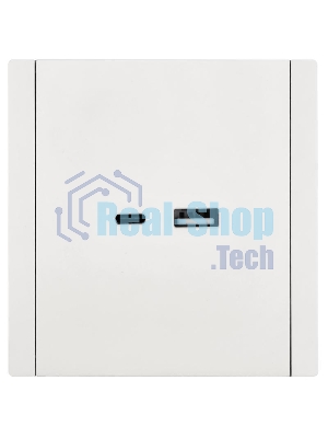 Розетка IEK FORTE&PIANO FP250 USB A+C 3,1А белый