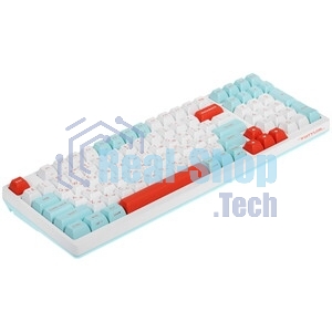 Клавиатура проводная A4Tech Fstyler FS300 (FS300 PANDA SNOWBOARDING), USB, белый/синий