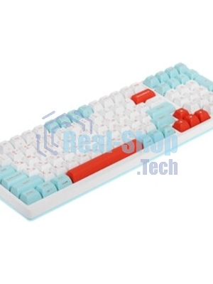 Клавиатура проводная A4Tech Fstyler FS300 (FS300 PANDA SNOWBOARDING), USB, белый/синий